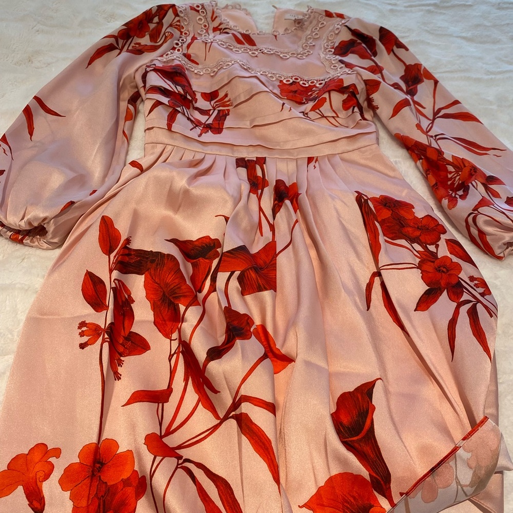 Ted Baker Dress